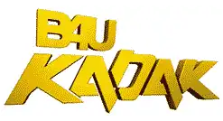 B4U Kadak