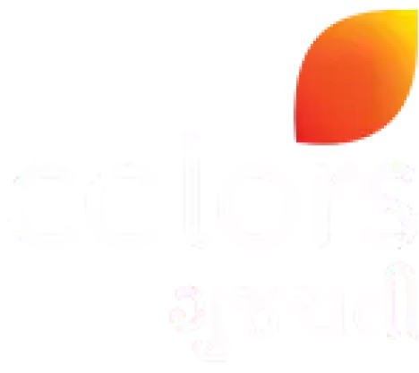 Colors Gujarati